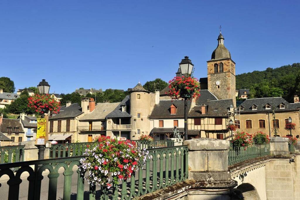 Au 11 T3 Duplex, Village Vacances, Piscines, Parking Saint-Geniez-dʼOlt Buitenkant foto